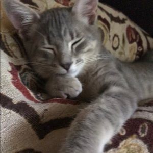 Meet your Posher, Laura